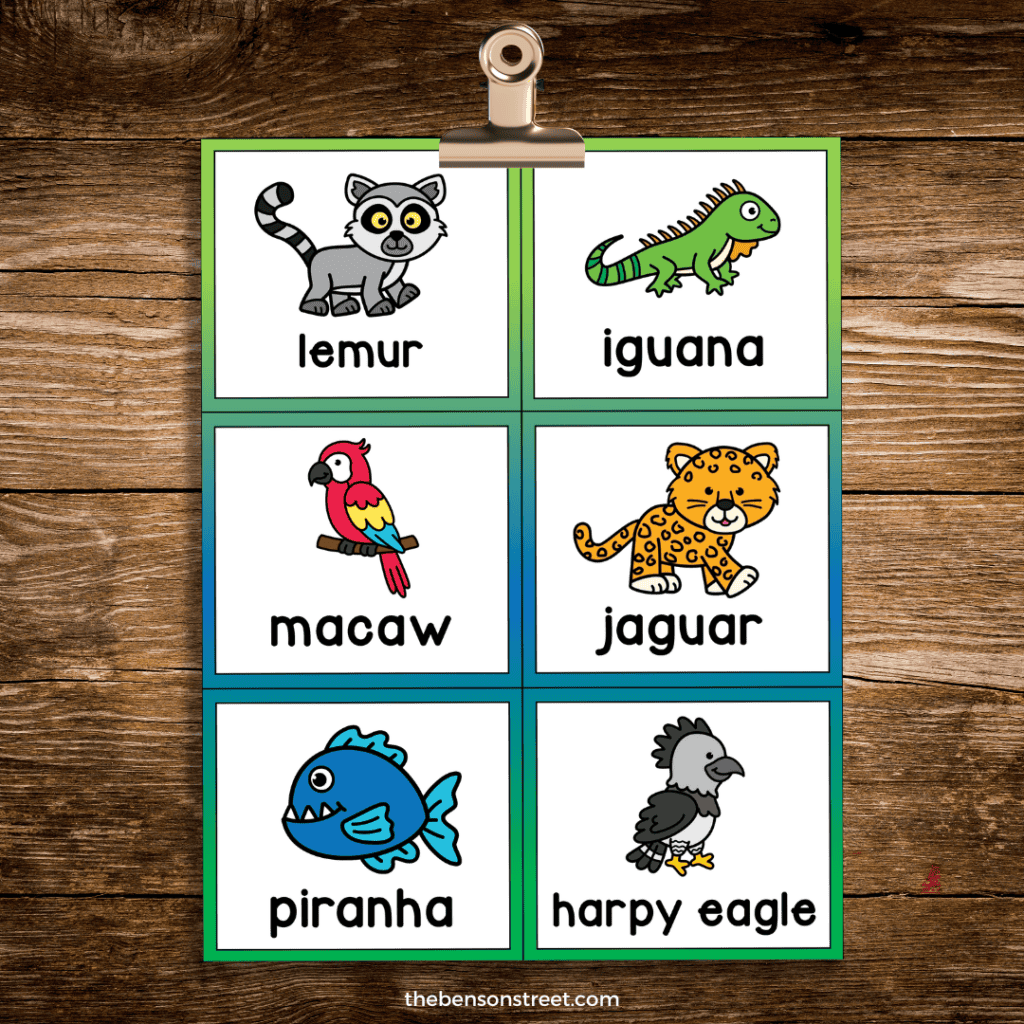 Calling cards for rainforest bingo game on a clipboard