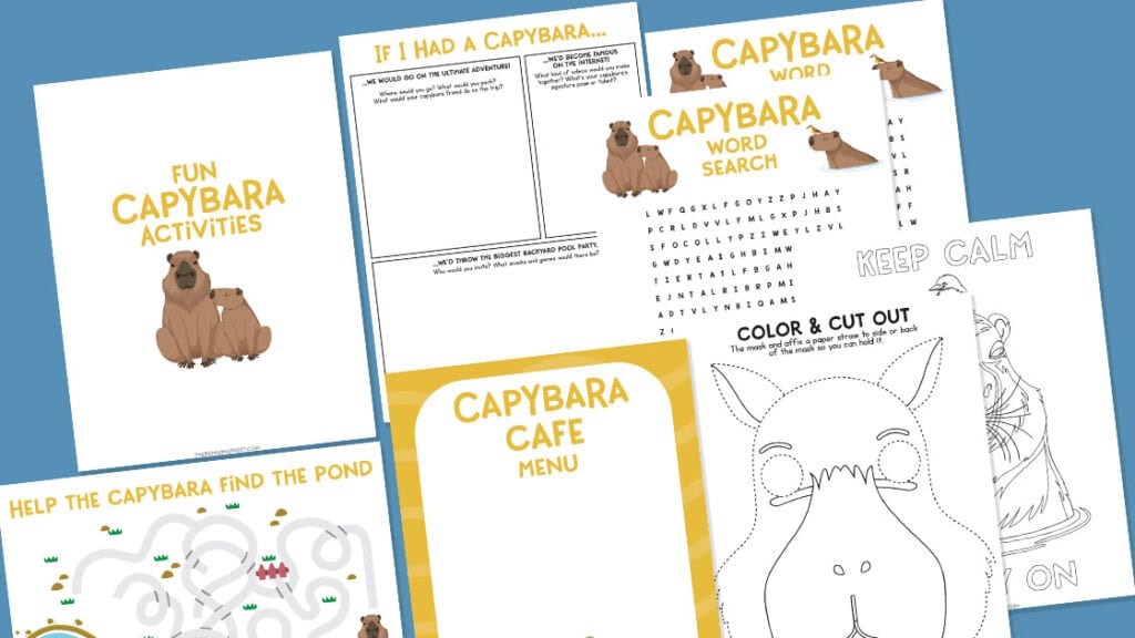Flat lay of sheets in printable capybara activities pack
