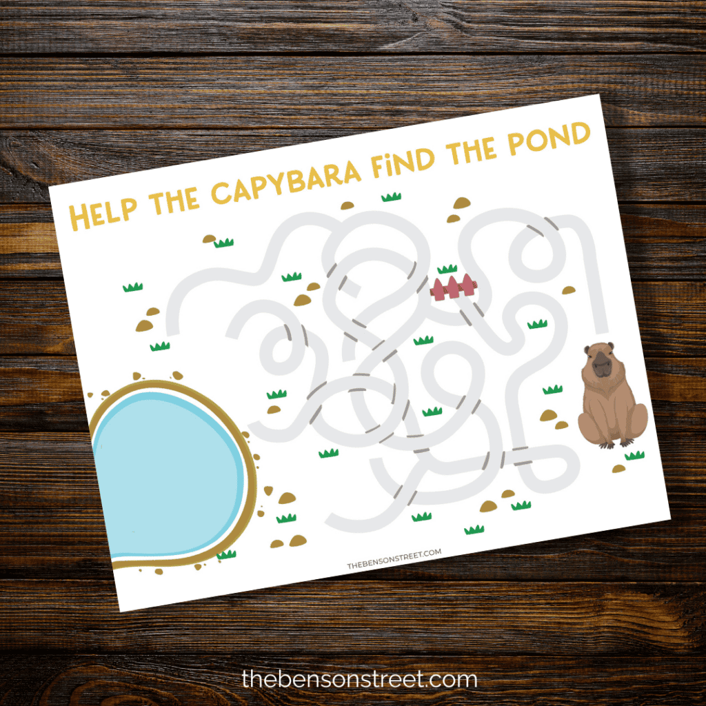 Capybara Find the pond maze printable 