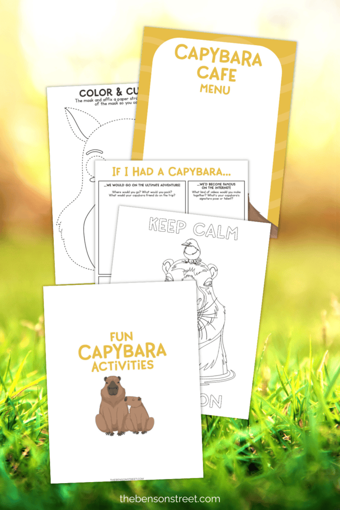 Five different printable pages with capybara fun activity pages for kids