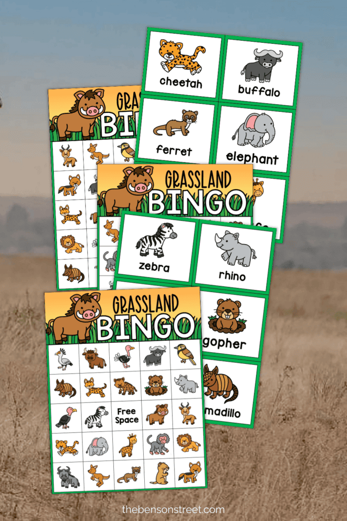 Grasslands animal bingo game with animal calling cards
