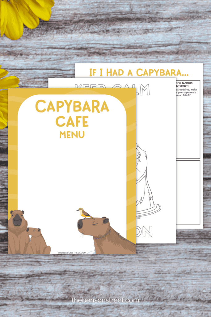 Three different printable capybara activities for kids that are free to print