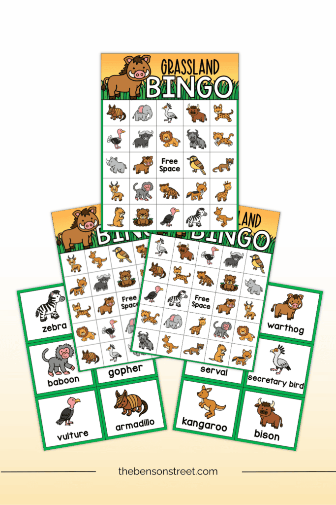 Unique grasslands bingo boards and animal calling cards