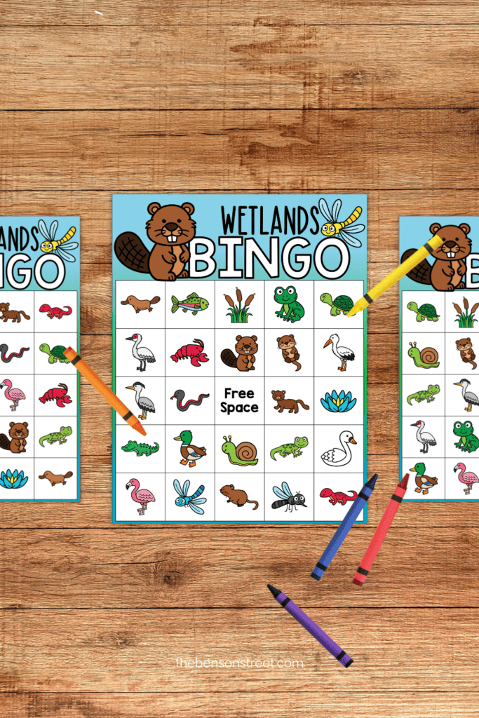 Wetland bingo game boards for an interactive learning game