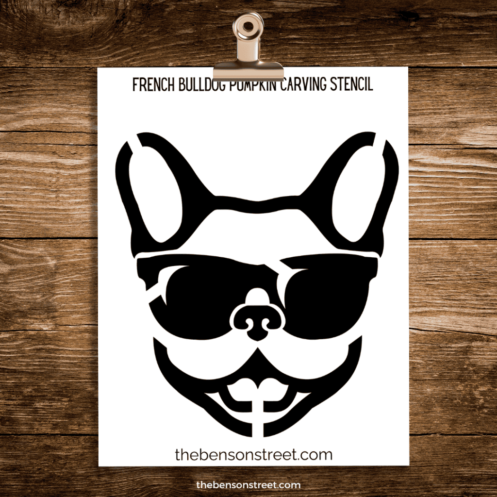 A cool french bulldog stencil for pumpkin carving on a clip
