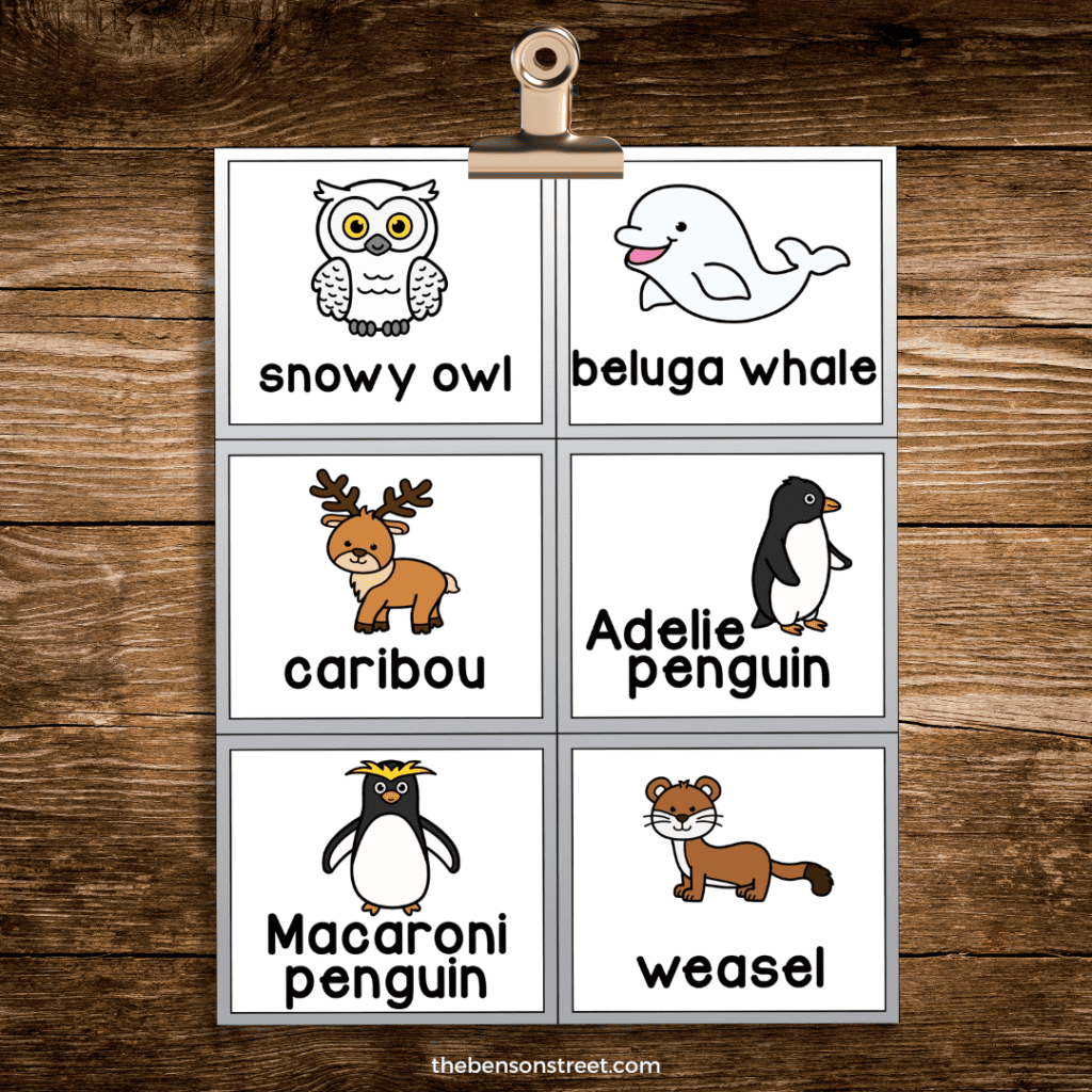 A sheet of arctic animal bingo calling cards