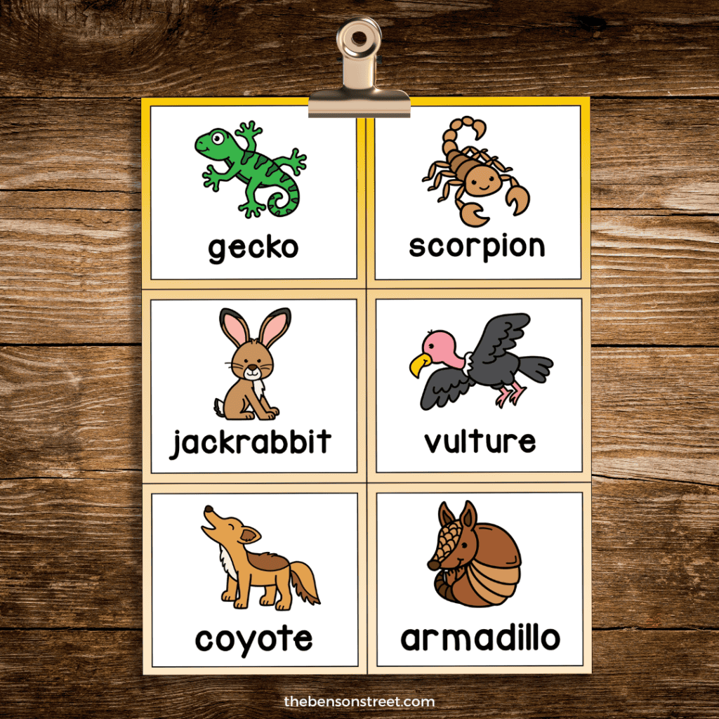 A sheet of free printable desert animal bingo calling card game