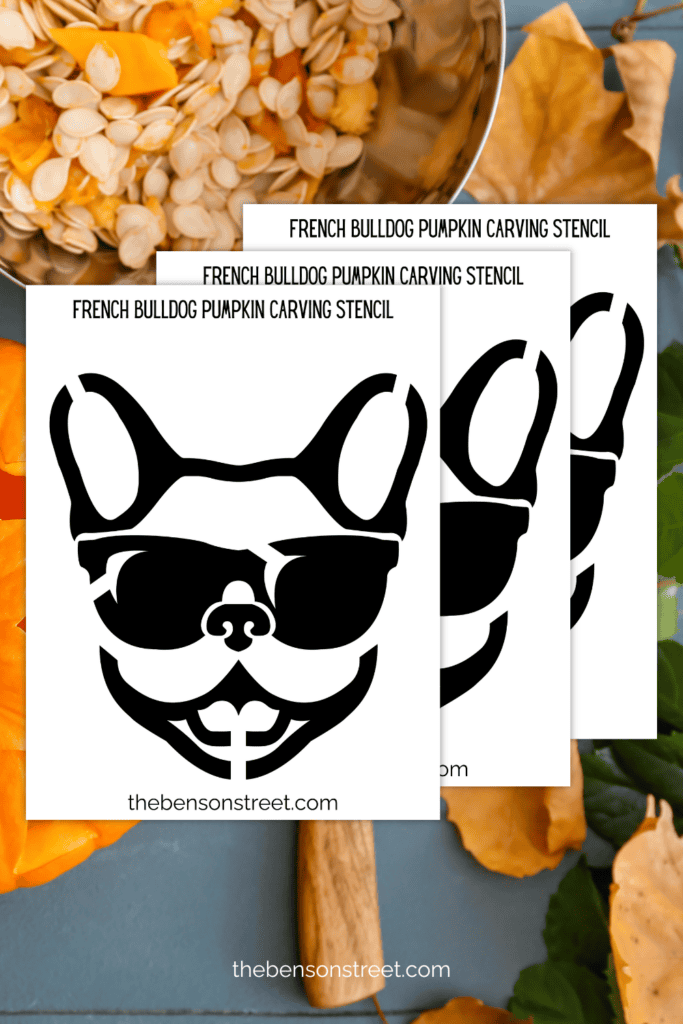 Cool Bulldog pumpkin stencil with pumpkin seeds in a bowl in the background